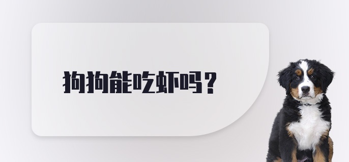 狗狗能吃虾吗？