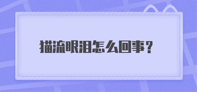 猫流眼泪怎么回事？