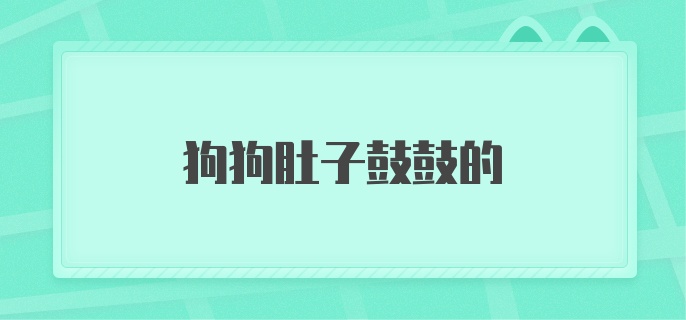 狗狗肚子鼓鼓的