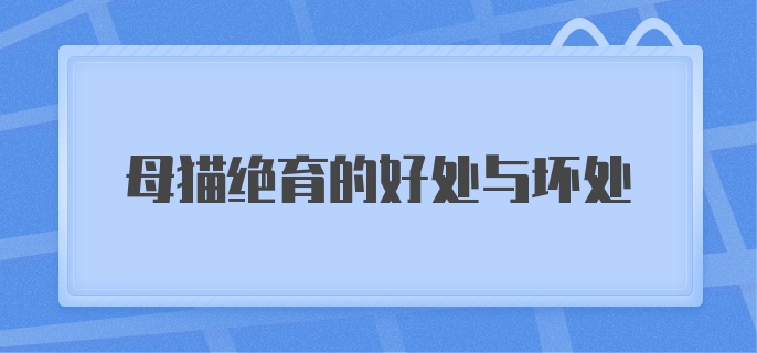 母猫绝育的好处与坏处