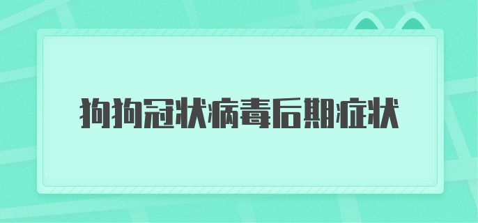 狗狗冠状病毒后期症状