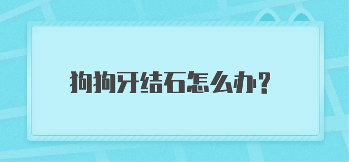 狗狗牙结石怎么办?