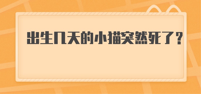 出生几天的小猫突然死了?