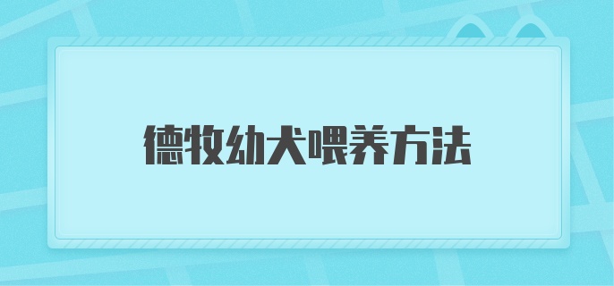 德牧幼犬喂养方法