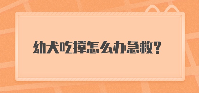 幼犬吃撑怎么办急救？