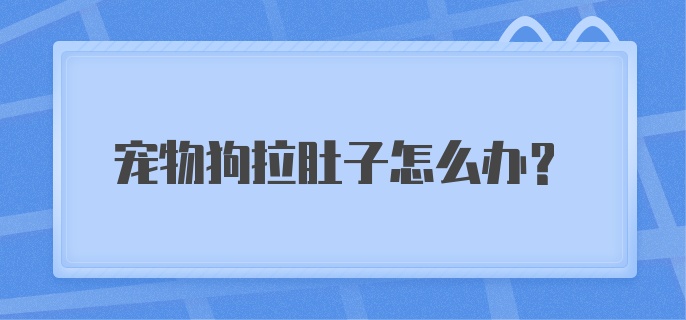 宠物狗拉肚子怎么办？