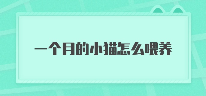 一个月的小猫怎么喂养