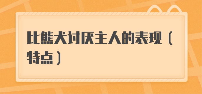 比熊犬讨厌主人的表现（特点）