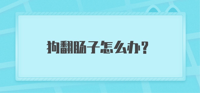 狗翻肠子怎么办？