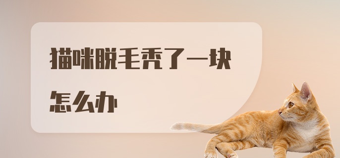 猫咪脱毛秃了一块怎么办