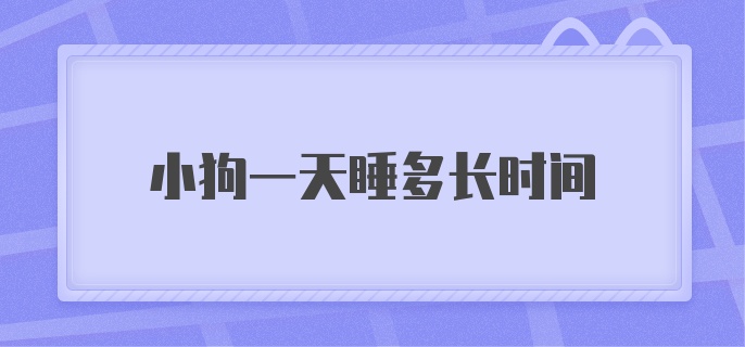 小狗一天睡多长时间