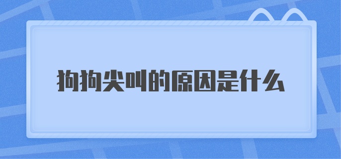 狗狗尖叫的原因是什么