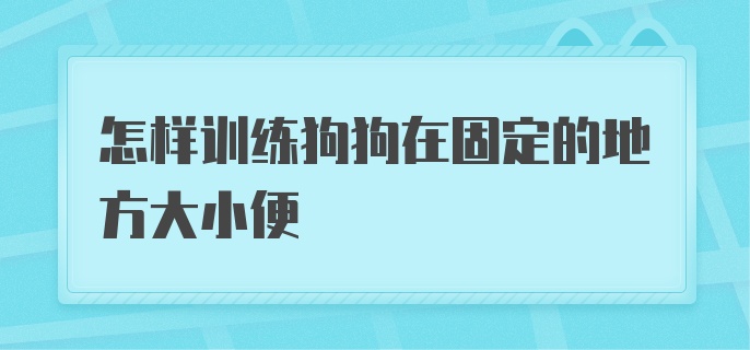 怎样训练狗狗在固定的地方大小便