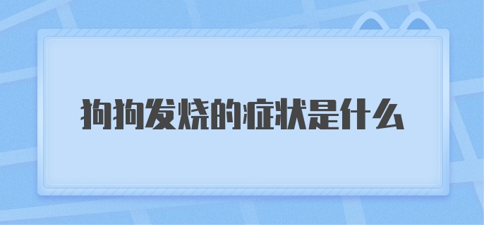 狗狗发烧的症状是什么