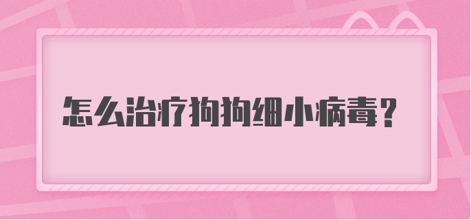 怎么治疗狗狗细小病毒？