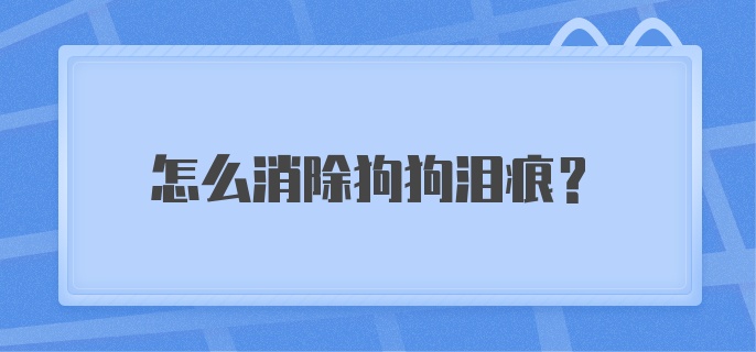 怎么消除狗狗泪痕？