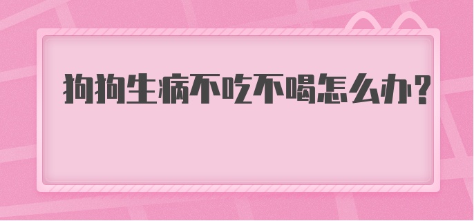 狗狗生病不吃不喝怎么办？