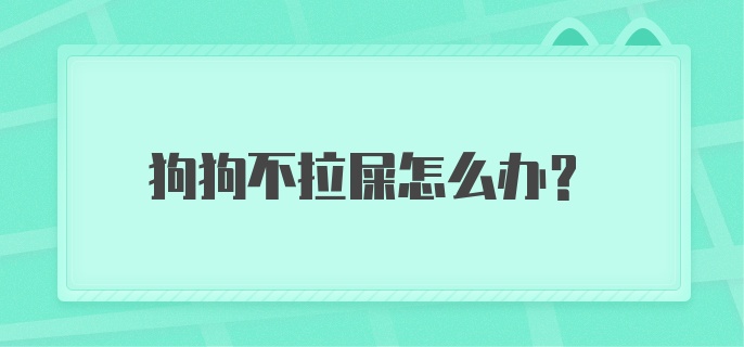 狗狗不拉屎怎么办？