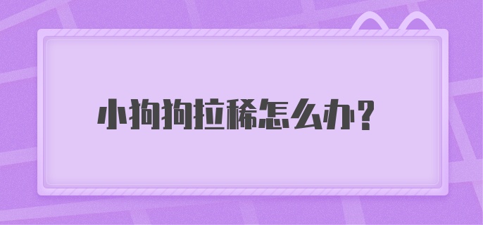 小狗狗拉稀怎么办？