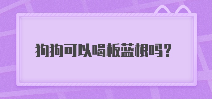 狗狗可以喝板蓝根吗？