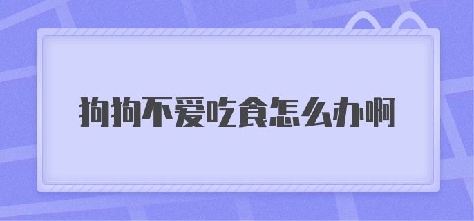 狗狗不爱吃食怎么办啊