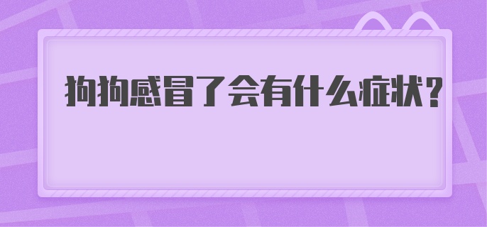 狗狗感冒了会有什么症状?