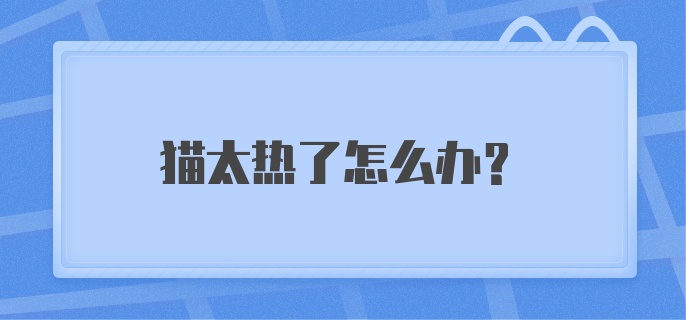 猫太热了怎么办？