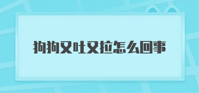 狗狗又吐又拉怎么回事