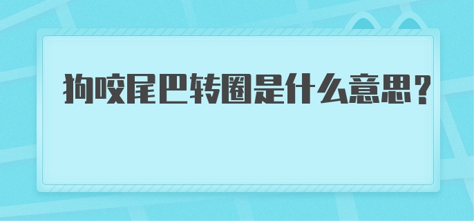 狗咬尾巴转圈是什么意思？