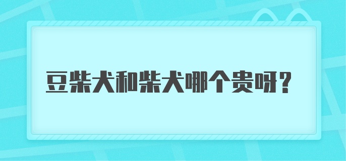 豆柴犬和柴犬哪个贵呀？