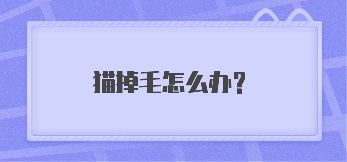 猫掉毛怎么办？