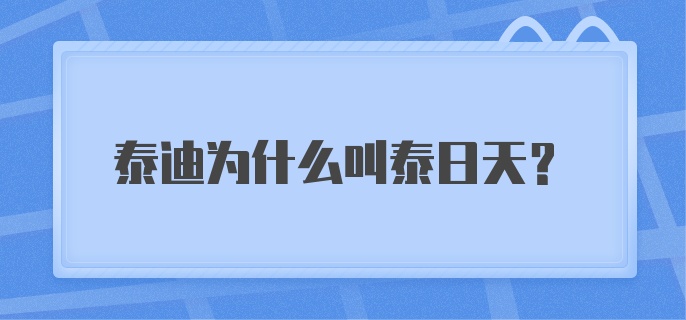 泰迪为什么叫泰日天?