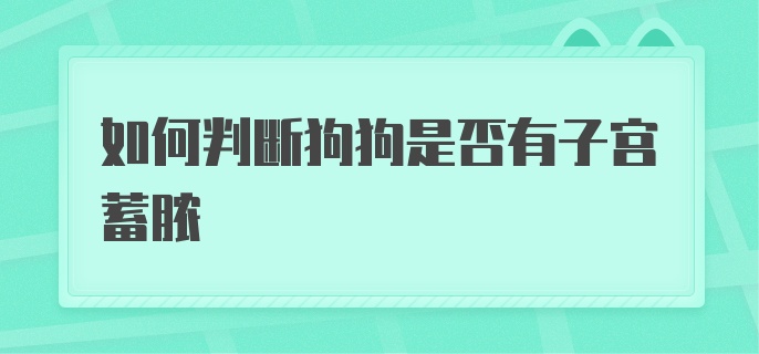 如何判断狗狗是否有子宫蓄脓