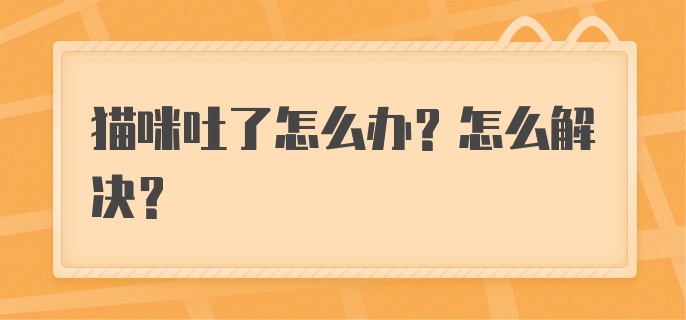 猫咪吐了怎么办？怎么解决？