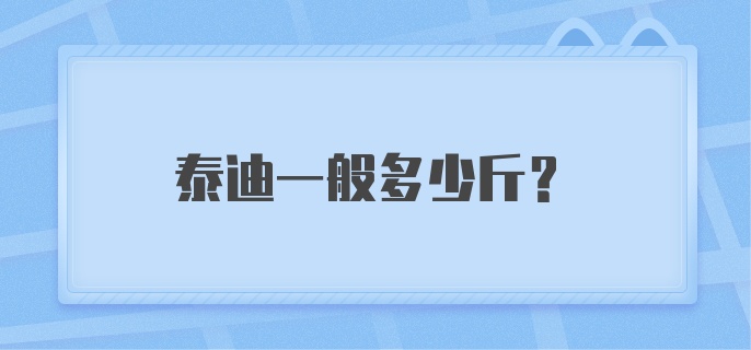 泰迪一般多少斤？