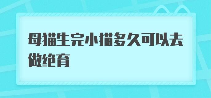 母猫生完小猫多久可以去做绝育