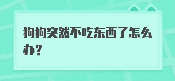 狗狗突然不吃东西了怎么办?