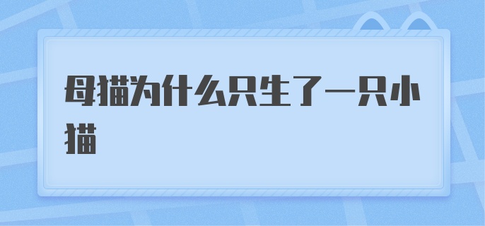 母猫为什么只生了一只小猫