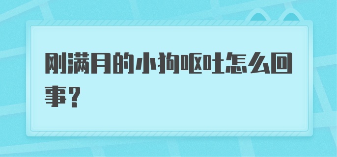 刚满月的小狗呕吐怎么回事？