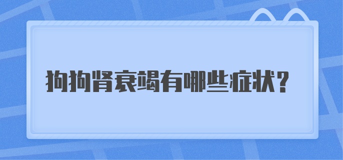 狗狗肾衰竭有哪些症状？