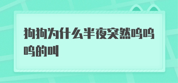 狗狗为什么半夜突然呜呜呜的叫