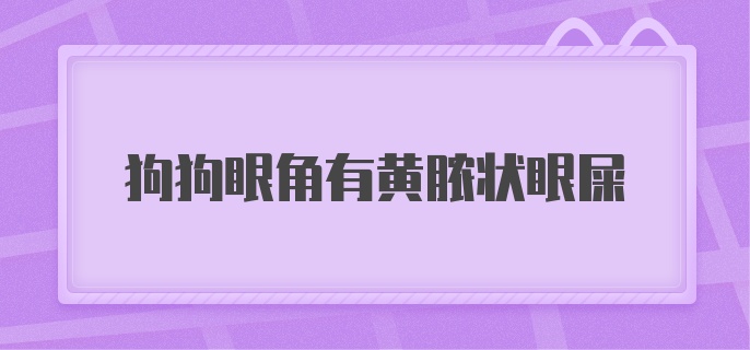 狗狗眼角有黄脓状眼屎