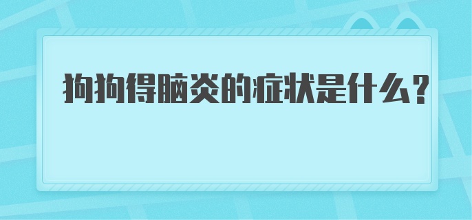 狗狗得脑炎的症状是什么？