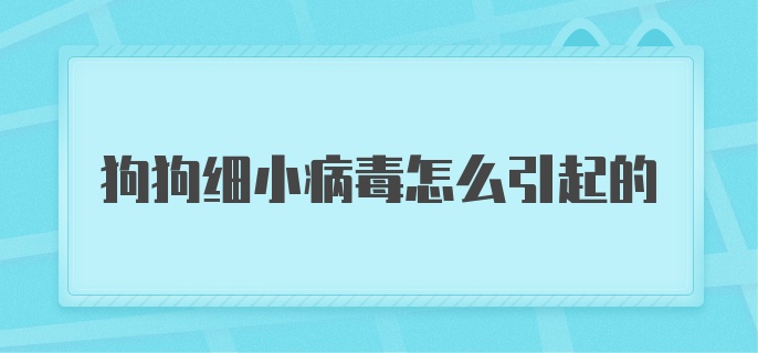 狗狗细小病毒怎么引起的