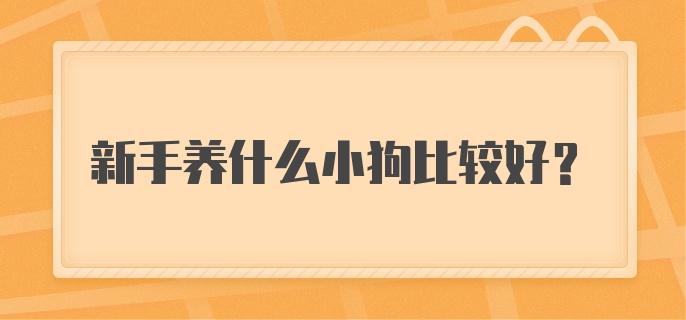 新手养什么小狗比较好？