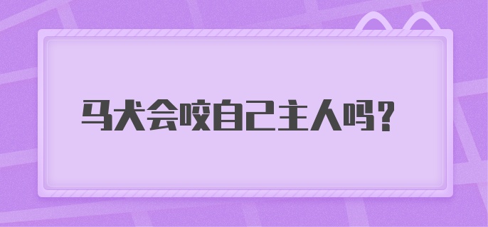 马犬会咬自己主人吗？