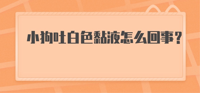 小狗吐白色黏液怎么回事？