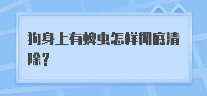 狗身上有蜱虫怎样彻底清除？