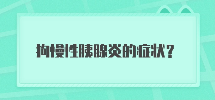 狗慢性胰腺炎的症状?