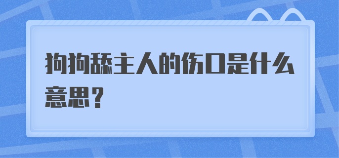 狗狗舔主人的伤口是什么意思？